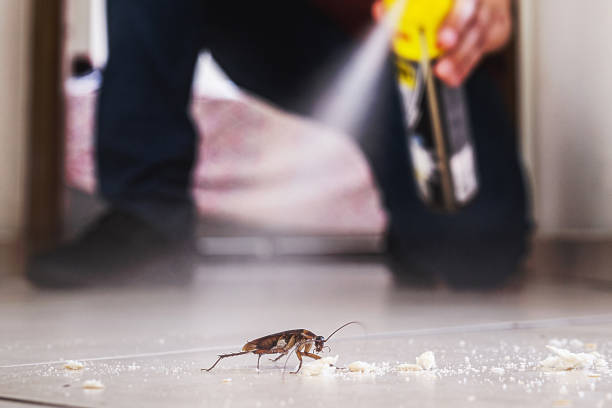 Insect Control in Varnville, SC